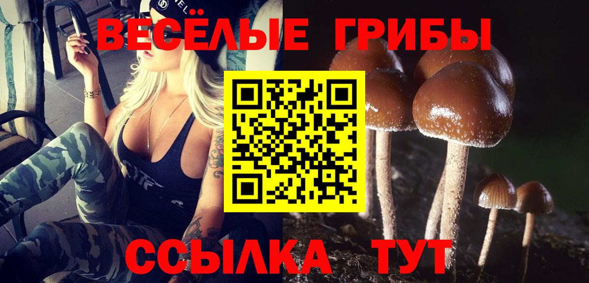 цена наркотик  Вход с VPN  Заволжье  Галлюциногенные грибы Magic Shrooms  Псилоцибиновые грибы ЛСД 