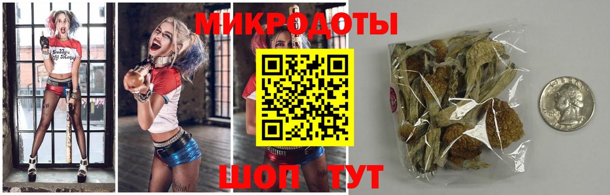 Псилоцибиновые грибы ЛСД Заволжье